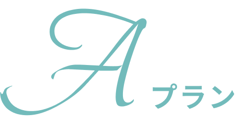 Aプラン