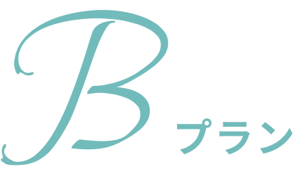 Bプラン